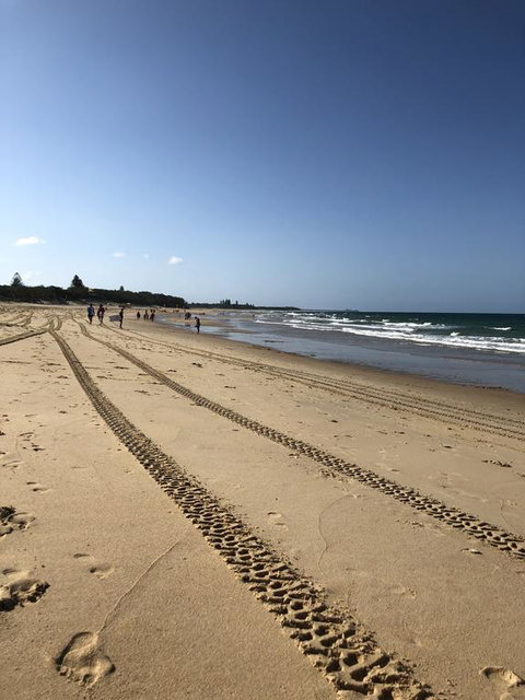 8 ON ELYSEE Alexandra Headland / Mooloolaba Beach - Accommodation Mount Tamborine 2