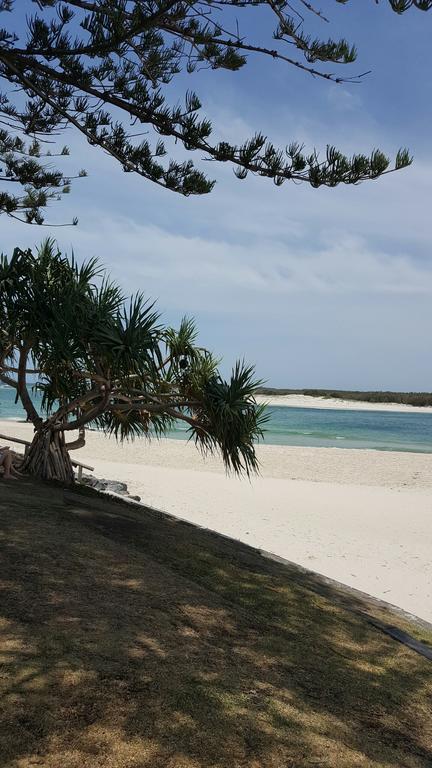 8 ON ELYSEE Alexandra Headland / Mooloolaba Beach - Accommodation Mount Tamborine 3