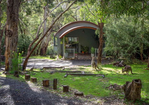 A Heavenly Escape - Accommodation Mount Tamborine 0