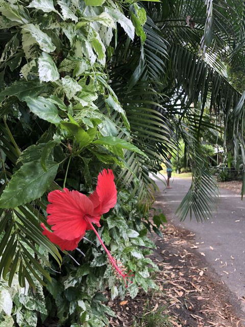Absolute Beach Frontage, Family Friendly, Home Away From Home - Accommodation Mount Tamborine 1