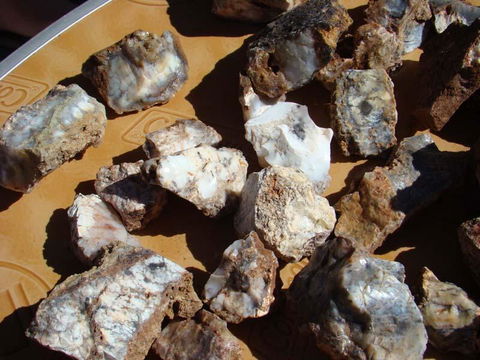 Acclaim Gateway Tourist Park - Accommodation Mount Tamborine 1