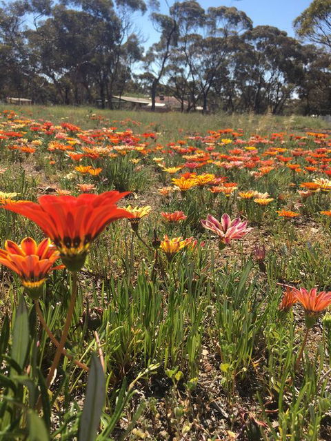 Acclaim Gateway Tourist Park - Accommodation Mount Tamborine 2