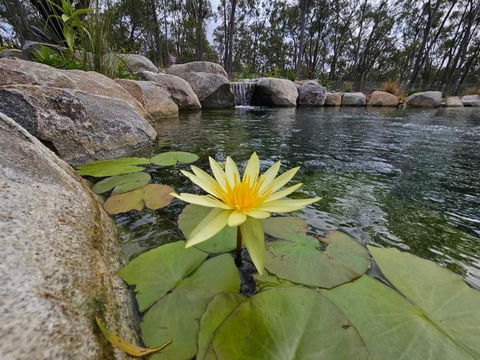 Eureka Station Camping Retreat - Accommodation Mount Tamborine 4