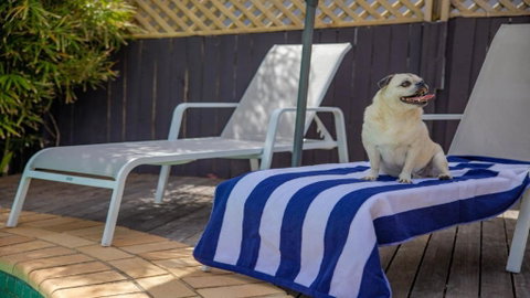 Fairways Beach House Sawtell - Accommodation Mount Tamborine 3