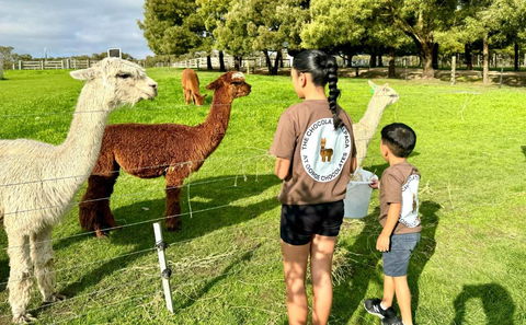 GORGE Chocolates Farmhouse - Accommodation Mount Tamborine 4