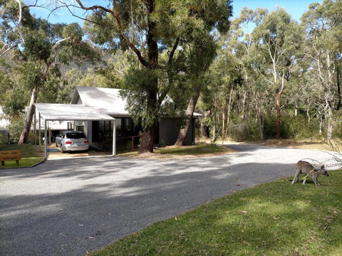 Halls Gap Cottages - Accommodation Mount Tamborine 0
