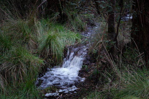 Hanging Rock Views - Accommodation Mount Tamborine 3