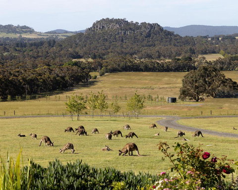 Hanging Rock Views - Accommodation Mount Tamborine 0