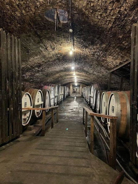 House Near The Lake Hosted By Rani - Accommodation Mount Tamborine 3