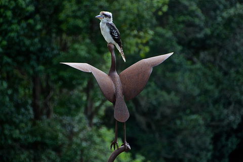 Afterglow Cottages - Accommodation Mount Tamborine 2