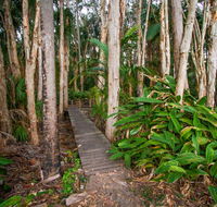 Agnes Palms Accommodation - Accommodation Mount Tamborine