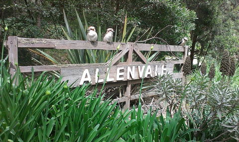 Allenvale - Accommodation Mount Tamborine 0