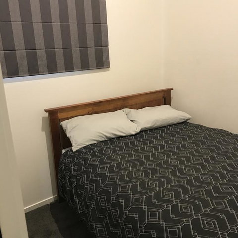 Alpina - Accommodation Mount Tamborine 3