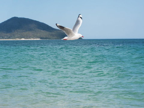 Architectural Design On The Beach - Accommodation Mount Tamborine 1