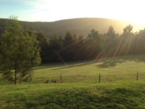 Arjuna Ridge Bed And Breakfast - Accommodation Mount Tamborine 0