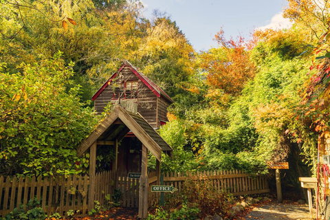 Arnica Views Summit Retreat - Accommodation Mount Tamborine 1