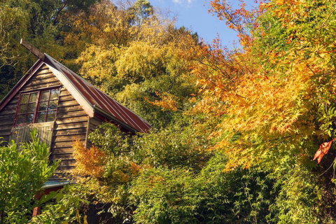Arnica Views Summit Retreat - Accommodation Mount Tamborine 2