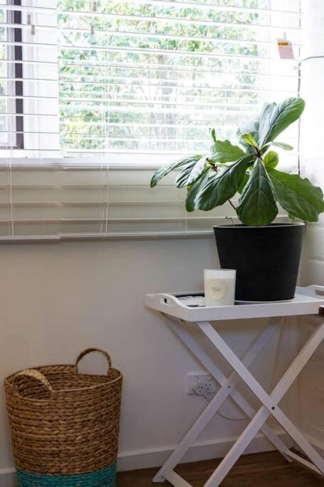 Maldon Cosy Garden Cottage - Charming One Room Studio - Accommodation Mount Tamborine 3