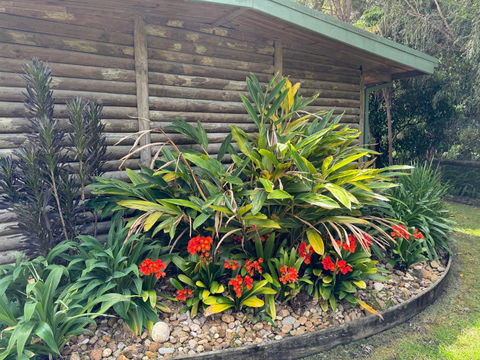 Mallacoota Log Cabins - Accommodation Mount Tamborine 2