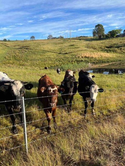Modern Farmhouse - Accommodation Mount Tamborine 3