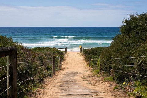 Mona Vale Surf To Tee - Accommodation Mount Tamborine 1