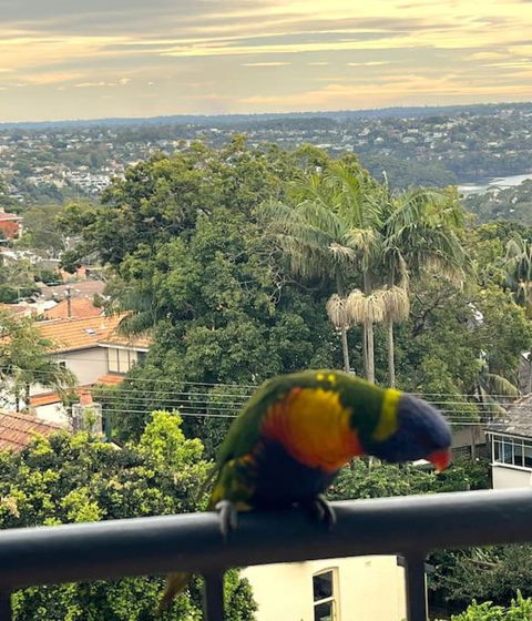 Mosman Views, 2bed, Parking, 15min Walk To Beach - Accommodation Mount Tamborine 1