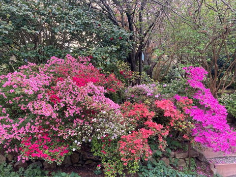 Mountain Villa In Dandenong Ranges - Accommodation Mount Tamborine 1