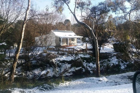 Old Oak Tree Cottage - Accommodation Mount Tamborine 1