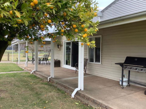 Orange Tree Cottage - Accommodation Mount Tamborine 0