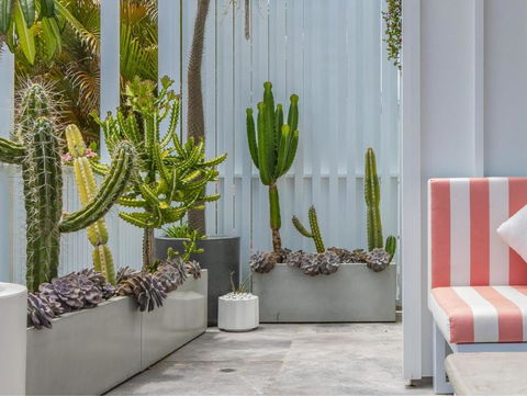 Palm Paradise: Luxury Villa Escape By The Beach - Accommodation Mount Tamborine 1