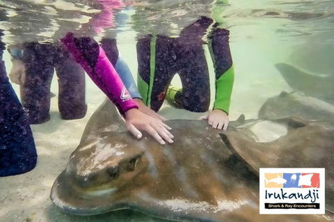 Peace In Paradise Near Nelson Bay- Waterviews, Spa, Adventures - Accommodation Mount Tamborine 2