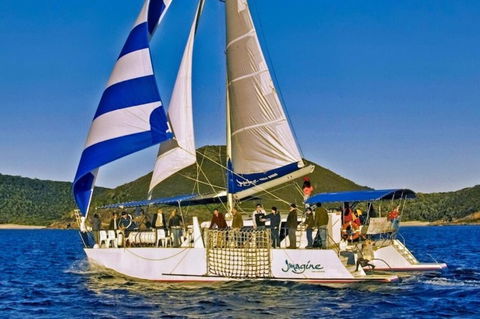 Peace In Paradise Near Nelson Bay- Waterviews, Spa, Adventures - Accommodation Mount Tamborine 3