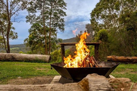 Personal Sauna & Ice-bath At Kookaburra Cabin - Accommodation Mount Tamborine 2