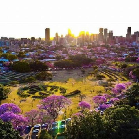 Perfect Haven In Spring Hill 2B1B And Parking - Accommodation Mount Tamborine 2