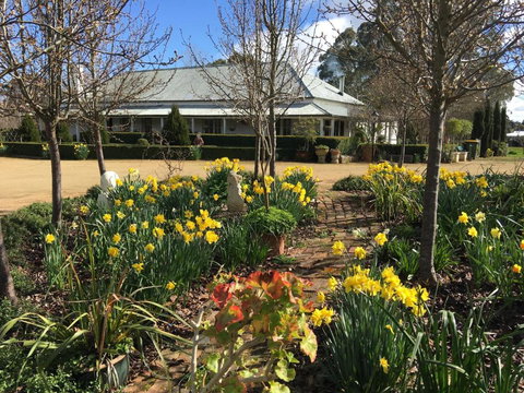 Petschel House - Accommodation Mount Tamborine 1