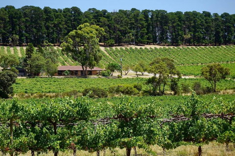 Picturesque Vineyard Farmhouse Nestled On 40-Acres - Accommodation Mount Tamborine 0
