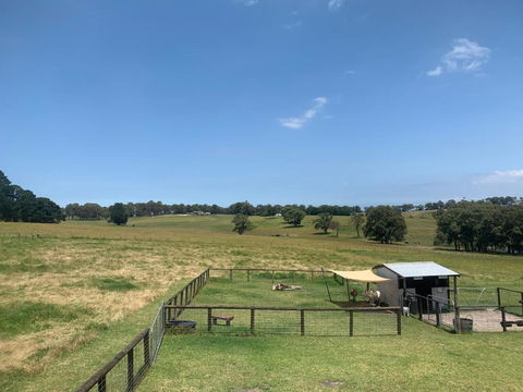 Platform One - Accommodation Mount Tamborine 3