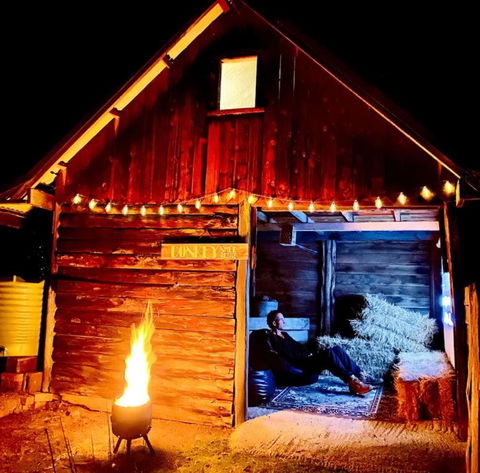 Poets Ode Featuring The Donkey Shed Theatre - Accommodation Mount Tamborine 2