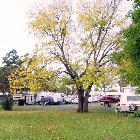 Poplar Tourist Park - Accommodation Mount Tamborine 2