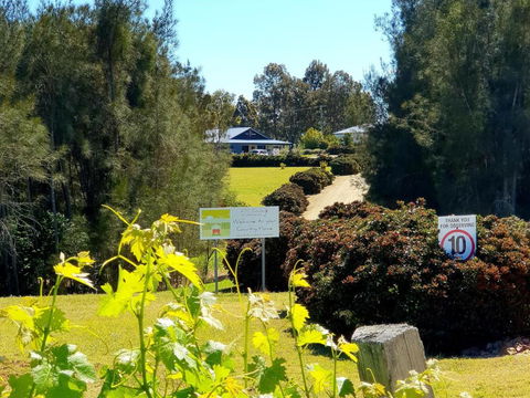 Red Door Collective - RDC Vineyard Estate, Luxury Adult Only Stay - Accommodation Mount Tamborine 0
