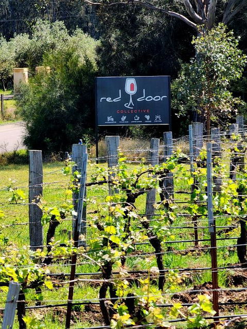 Red Door Collective - RDC Vineyard Estate, Luxury Adult Only Stay - Accommodation Mount Tamborine 1