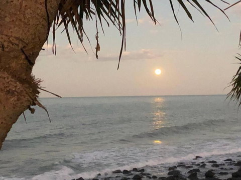 PRIVATE OCEAN FRONT, PET FRIENDLY OASIS! - Accommodation Mount Tamborine 1