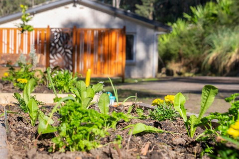 Pure Valley Estate - Accommodation Mount Tamborine 3