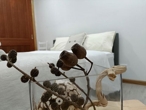 Quiet Nature-Filled Ground Floor Unit - Accommodation Mount Tamborine 1