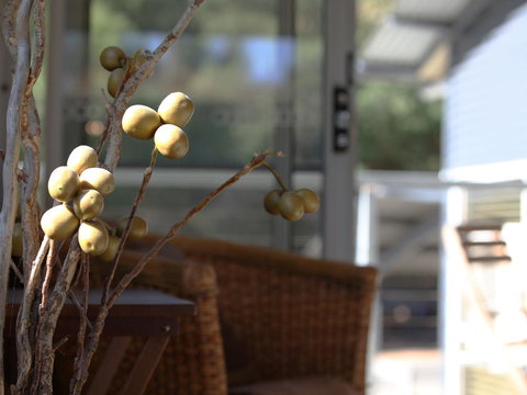 At The Gap Holiday Home - Accommodation Mount Tamborine 3