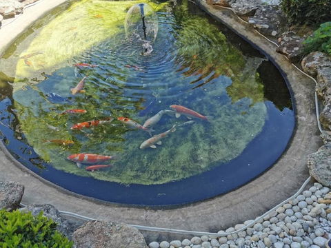 Attached Self Service Waterfront Whole Villa - Sydney - Accommodation Mount Tamborine 2