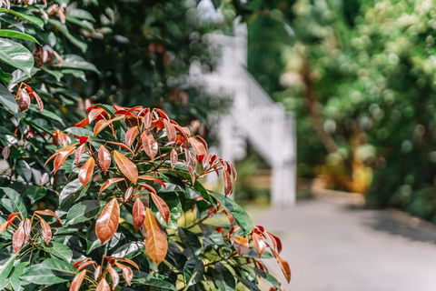 Balmoral Queenslander - Accommodation Mount Tamborine 2