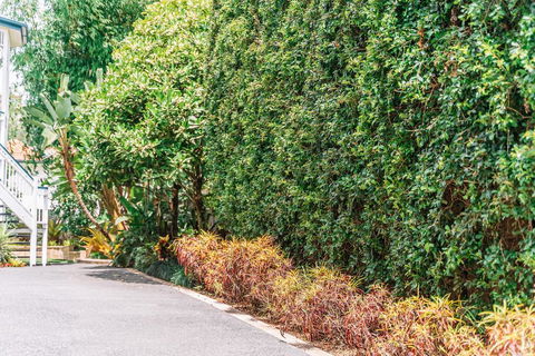 Balmoral Queenslander - Accommodation Mount Tamborine 3
