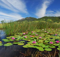 Barrington Hideaway- River Cottages - Accommodation Mount Tamborine