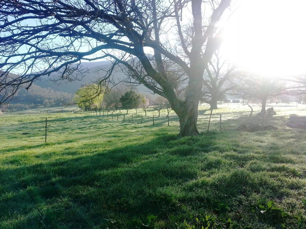 Leneva VIC Accommodation Mount Tamborine